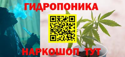 apvp Гусиноозёрск